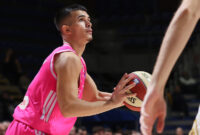 Mega Drezgić