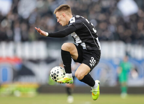 Roganović Milan